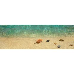 Island Dreams Aruba